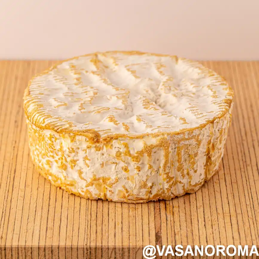 camembert de normandie